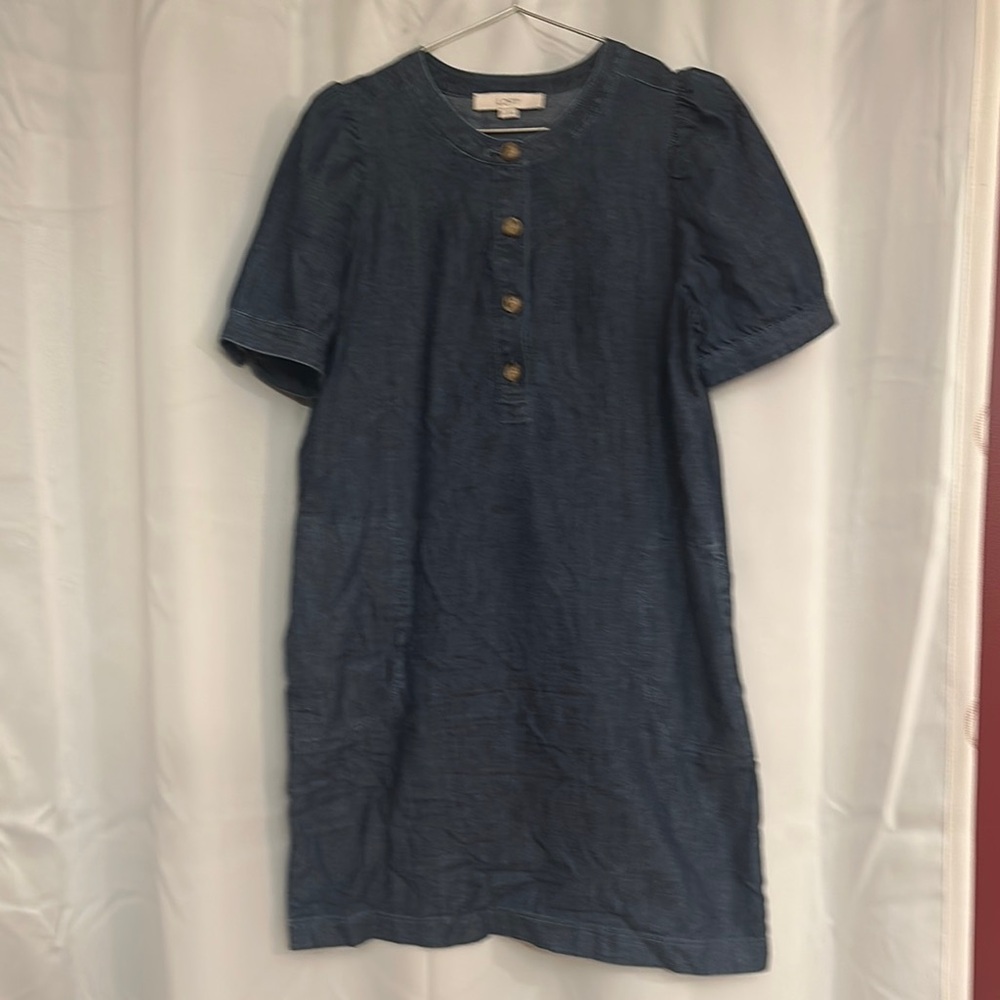 Denim Blue Button-Up Dress